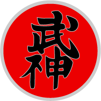 bujin patch